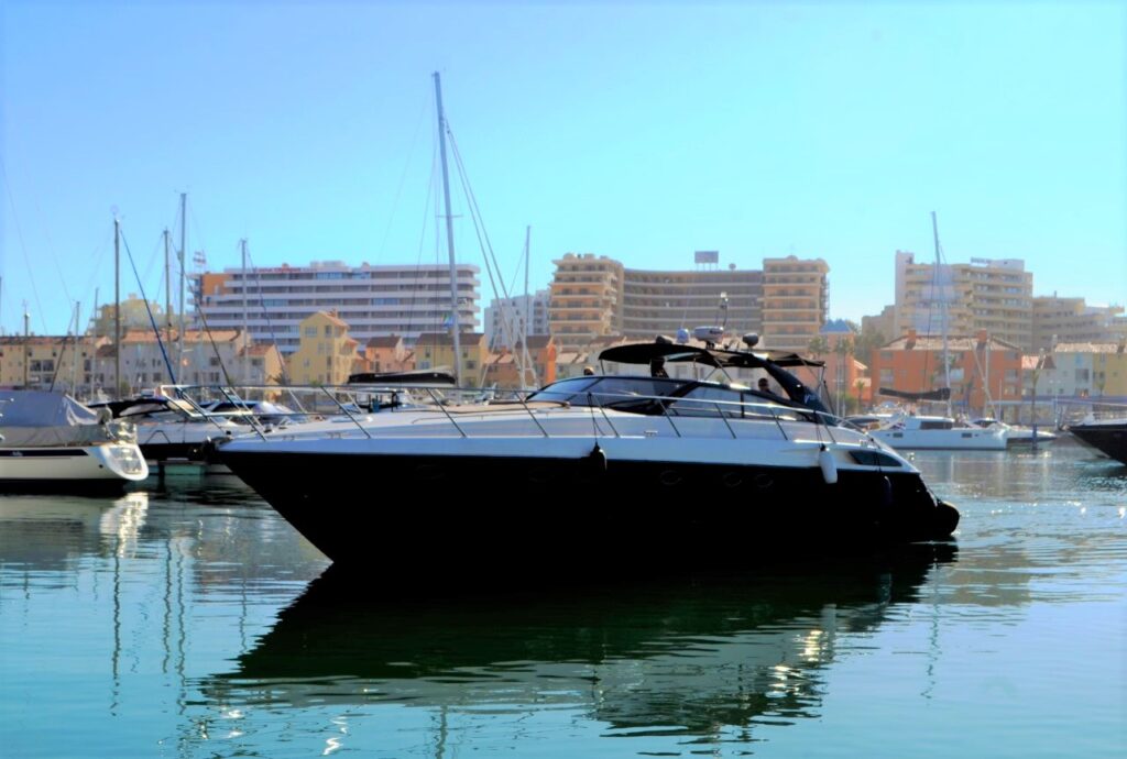 PRINCESS V55