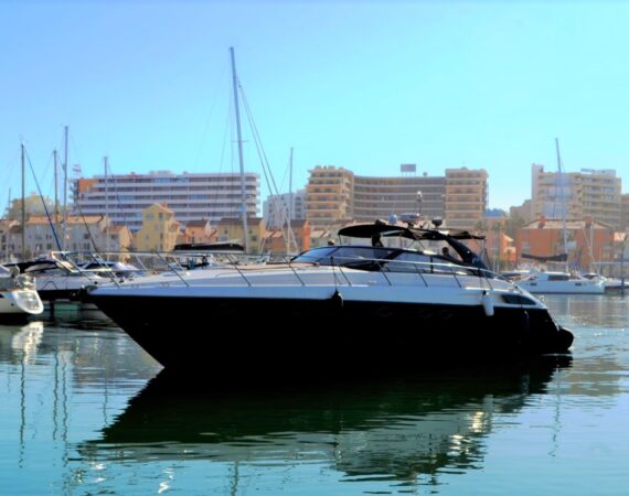 PRINCESS V55