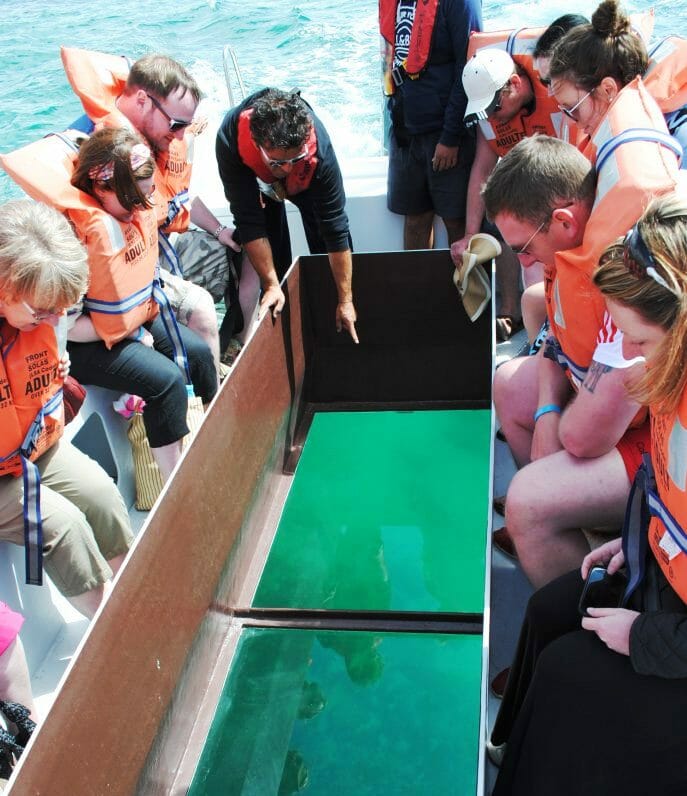 glass-bottom-boat-algarve-boat-trips