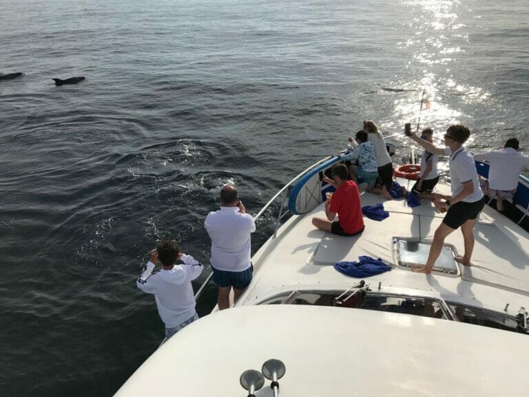 Explore Algarve yacht