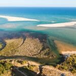 cruise to Ria Formosa Algarve