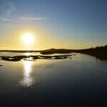 cruise to Ria Formosa Algarve