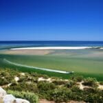 cruise to Ria Formosa Algarve