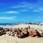 cruise to Ria Formosa Algarve