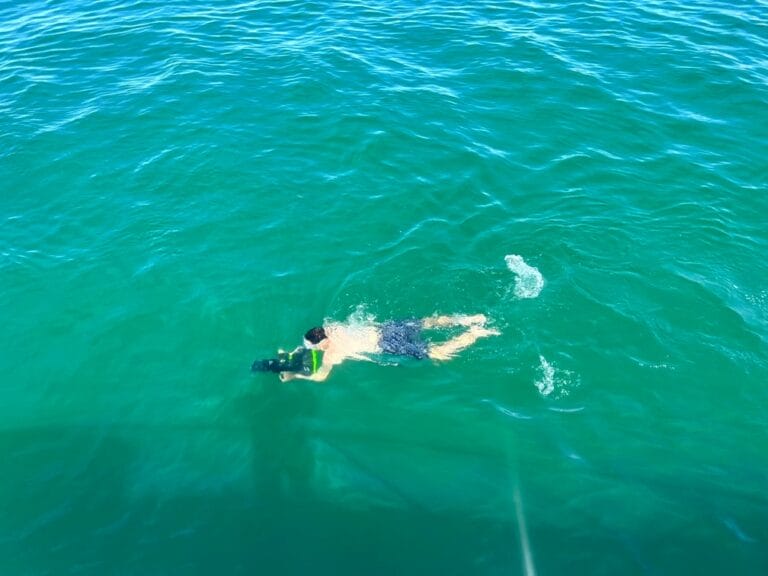 boat charter albufeira